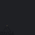 Black C 11 SF Pinnacle laminate