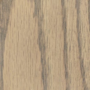 Dove Gray stain Oak