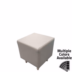 Zearing Vinyl/Upholstered Cube Benches