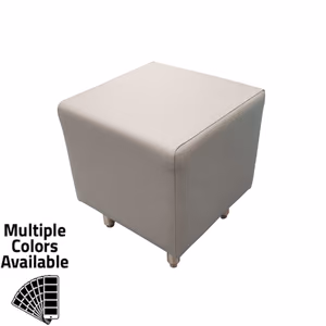 Zearing Vinyl/Upholstered Cube Benches