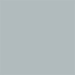 C 12 SF Steel Gray swatch