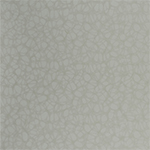 C 289 MR Ivory Boomerang swatch
