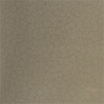 C 497 MR Biscotti Flora swatch