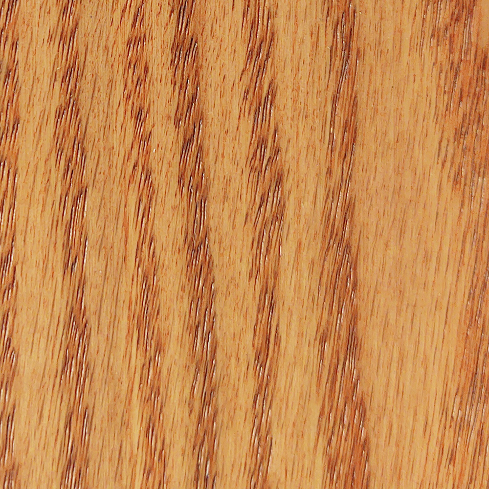 Oak Red Fox Oak Red Fox